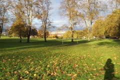 Autumn in the Park Nov 2021. Courtesy of Kerry Chester