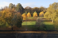 Autumn in the Park Nov 2021. Courtesy of Kerry Chester