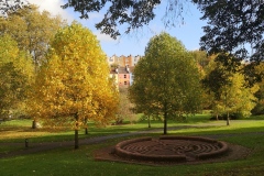 Autumn in the Park Oct 2022. Courtesy of Kerry Chester