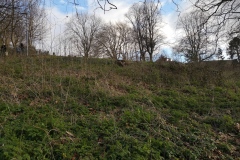 Bank to be left for rewilding. March  2023. Courtesy of Kerry Chester