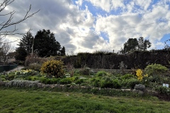 Community garden in March 2023. Courtesy of Kerry Chester