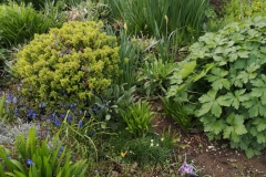 Community garden in March 2023. Courtesy of Kerry Chester