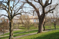 Winter in the Park 2022. Courtesy of Kerry Chester