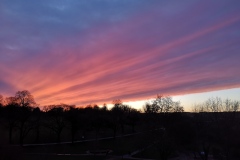 Sunset in the Park Jan 2021. Courtesy of Kerry Chester