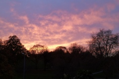 Sunset in the Park Jan 2021. Courtesy of Kerry Chester