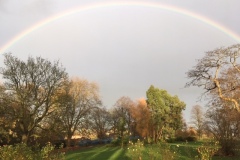 Rainbow over the park